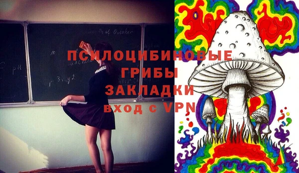 мет Алексин