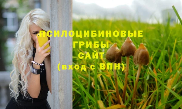 соль курить ск Алексеевка
