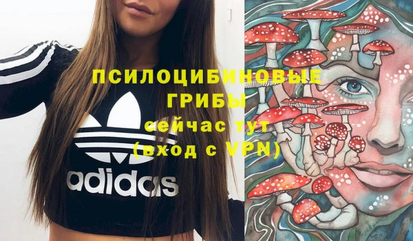 соль курить ск Алексеевка