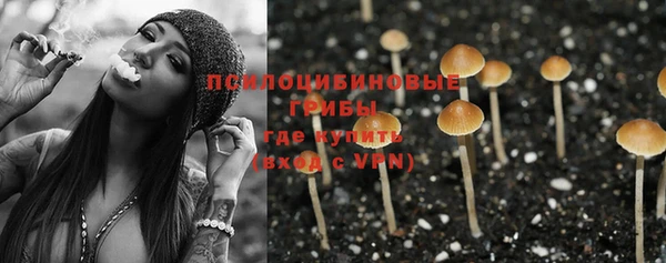 соль курить ск Алексеевка